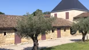 Château Sénailhac