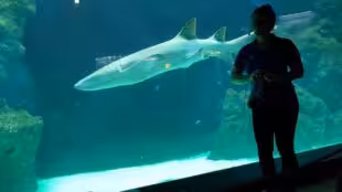 Aquarium de Lyon