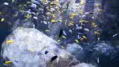 Aquarium de Lyon
