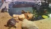 Aquarium de Lyon