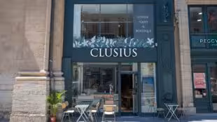 Clusius