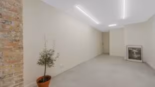 Galerie M62