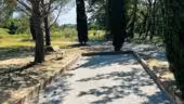 Domaine Saint Victor