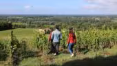 CHÂTEAU RÉAUT Tourisme & Événementiel