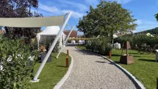 Espace137
