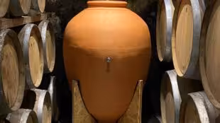 Le Clos de l'Amandaie