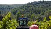 Le Clos de l'Amandaie