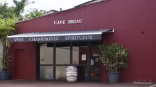 Briau Cave Réception