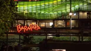 Barapapa
