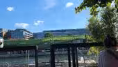 Barapapa