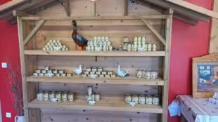 Ferme des Allobroges