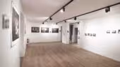 Galerie Joseph