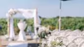 Vignoble Cassin