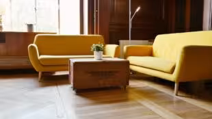 Surprenantes - Le Grand Salon