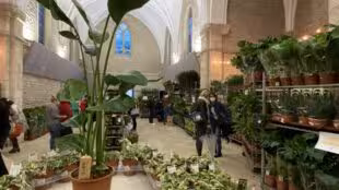 La Chapelle Des Ducs