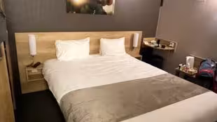 Hôtel Wood Inn Mérignac