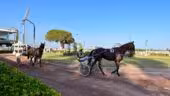 Hippodrome de la Côte d'Azur