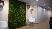 ECONOMIS Centre d'affaires et Domiciliation Avignon