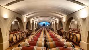 Château Haut-Chaigneau - Vignobles Chatonnet