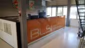 BLSI