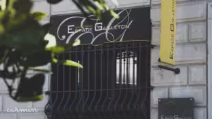 Espace Gailleton