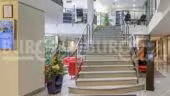 BURO Club
