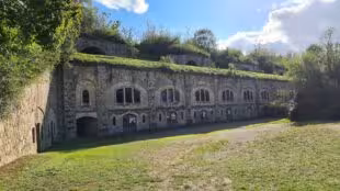 Fort de Feyzin