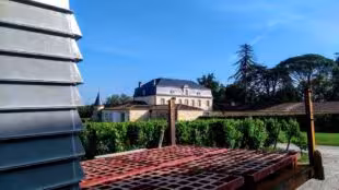 Château Couhins-Lurton