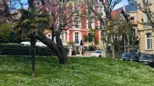 Hôtel & Espace Bien-être La Maison du Lierre