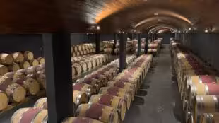 Château Bertinerie