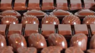 Artisan Chocolatier- Glacier- De la Fève au Palais Fonsorbes