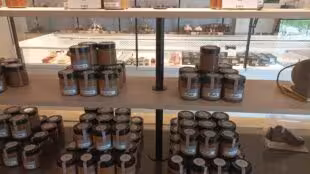 Artisan Chocolatier- Glacier- De la Fève au Palais Fonsorbes