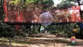 Bois des Lutins Lyon-est Diemoz