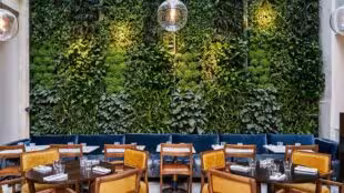 The Hoxton - The Hoxton