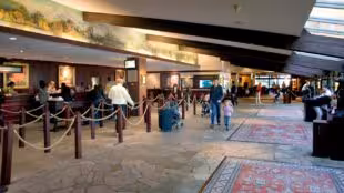 Disney Sequoia Lodge