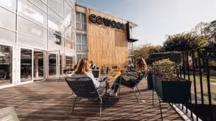 Cowool Cergy