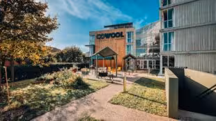 Cowool Cergy