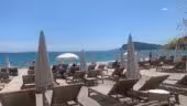 Tropicana Club