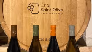 Chai Saint Olive - Premier chai urbain de Lyon