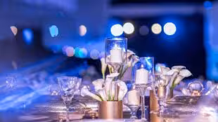 LOKUS RECEPTIONS
