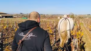 Domaine Claude Lafond