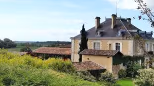 Château Haut-Bailly
