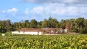 Château Haut-Bailly