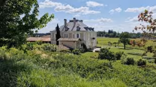 Château Haut-Bailly
