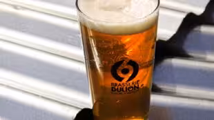 BRASSERIE DULION