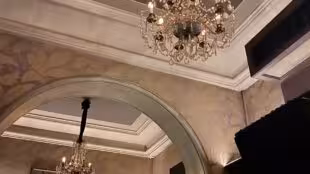Le Magnifique