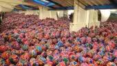 Fondation Cherqui