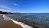 Mahi-plage