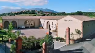 CHATEAU MONTANA