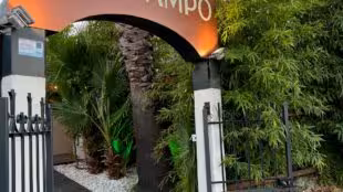Mas Campo